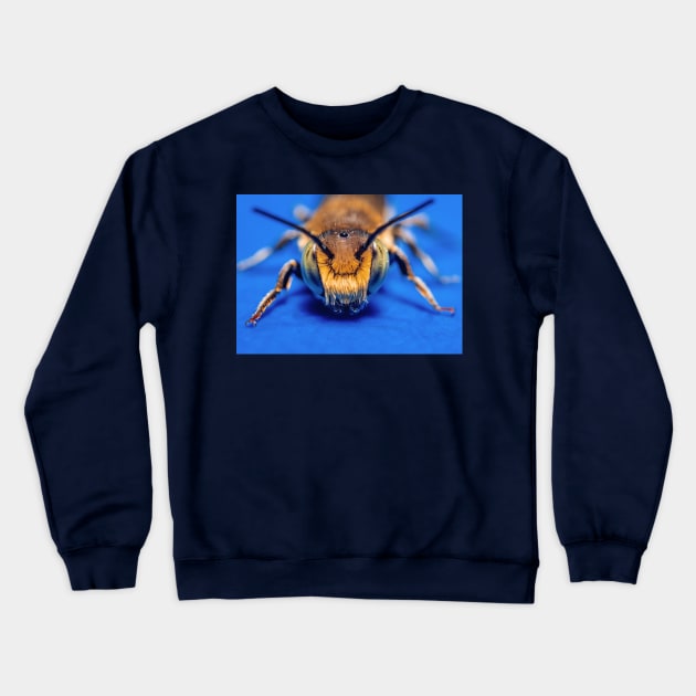 Macro Photograph Sand Wasp Cute Bug Crewneck Sweatshirt by love-fi